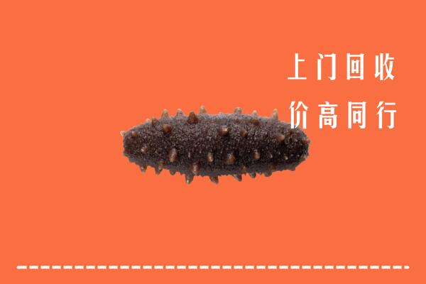 高价求购：边坝县回收海参