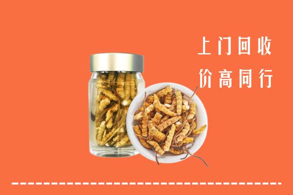 边坝县回收冬虫夏草