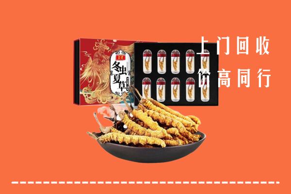 边坝县回收虫草